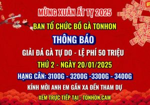 Giải Tonhon Ngày 20/01/2025