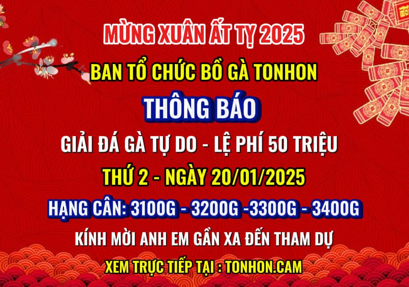 Giải Tonhon Ngày 20/01/2025