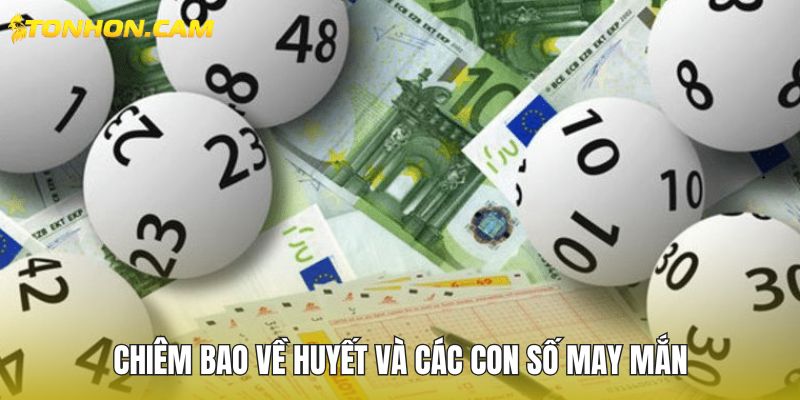 Chiêm bao về huyết và các con số may mắn