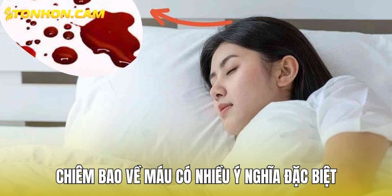Chiêm bao về máu có nhiều ý nghĩa đặc biệt