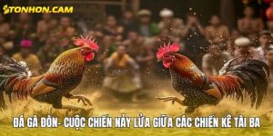 Đá gà đòn