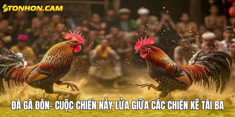 Đá gà đòn