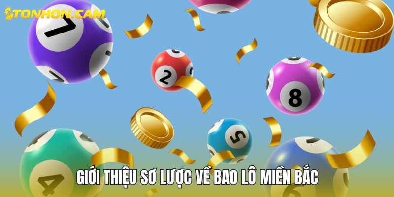 Giới thiệu sơ lược về bao lô miền Bắc