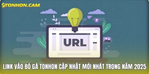 link vào Bồ Gà TONHON