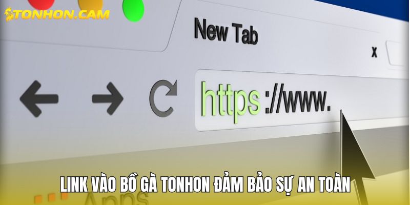 Link vào Bồ Gà TONHON đảm bảo sự an toàn