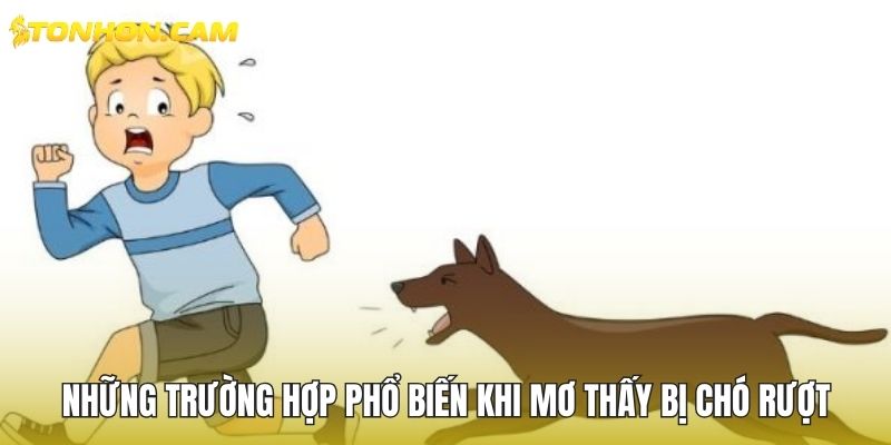 Những trường hợp phổ biến khi mơ thấy bị chó rượt