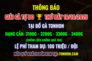Giải Gà Tự Do Bồ Gà Tonhon 18/10/2025